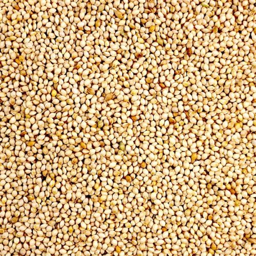 French White Millet